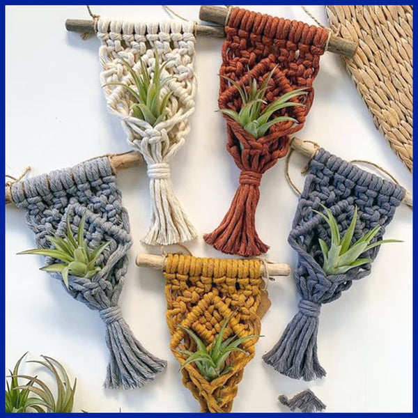 Boho Macrame Plant Holder