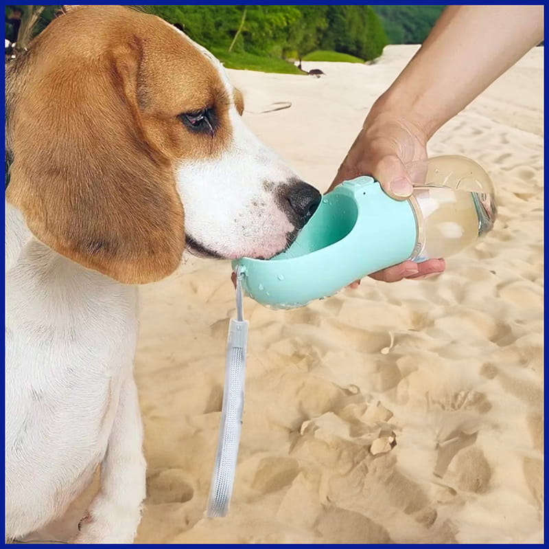 Dog Sips from Portable Water Bottle