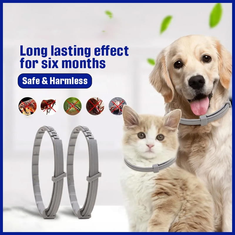 Eco-Friendly Pest Control Collar