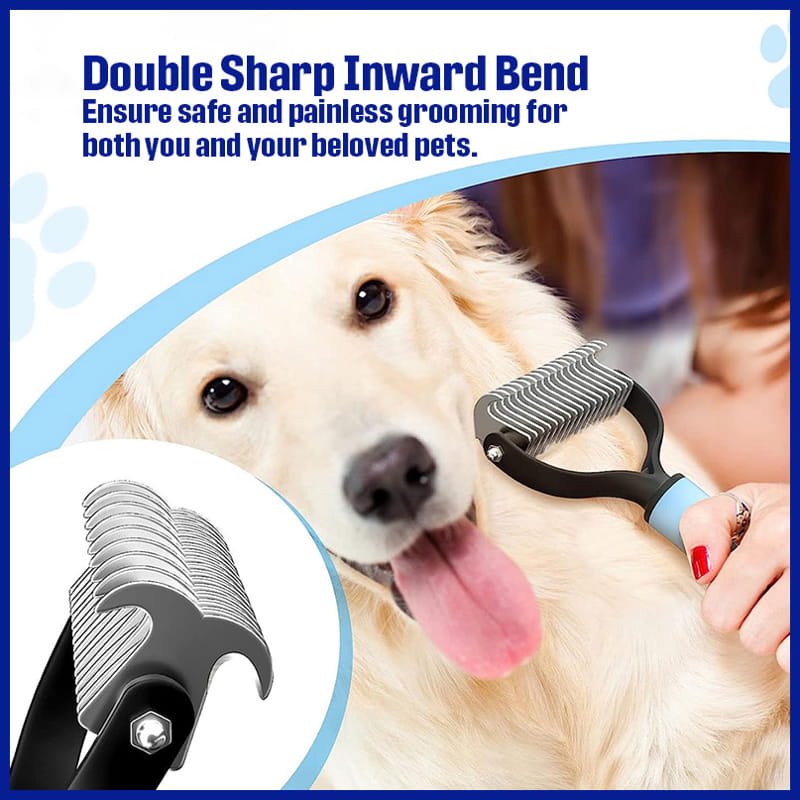 Gentle & Safe Pet Grooming for All