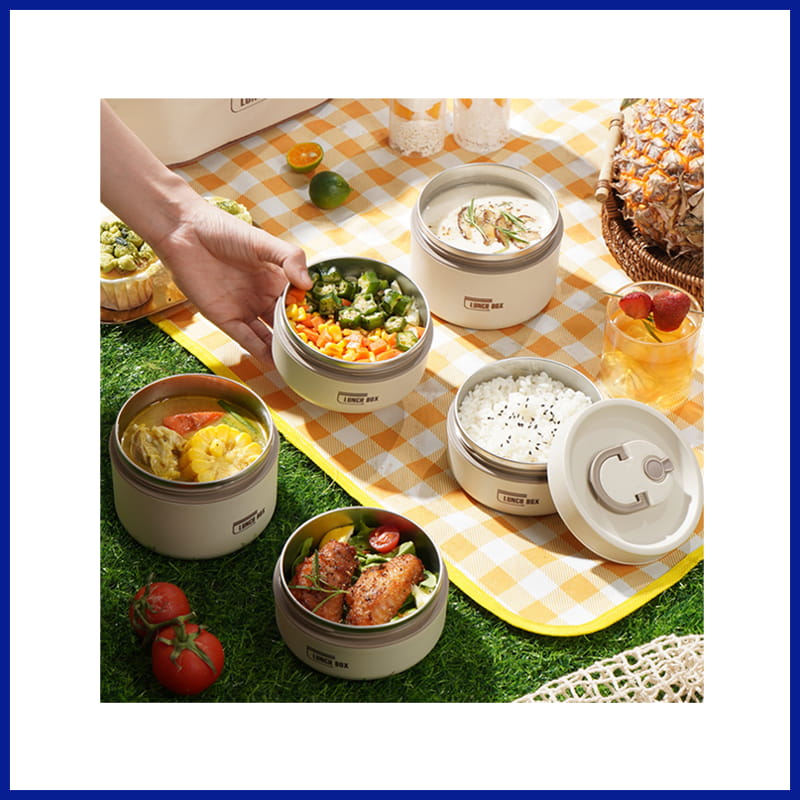 Fresh Meals on the Go: Lunch Box