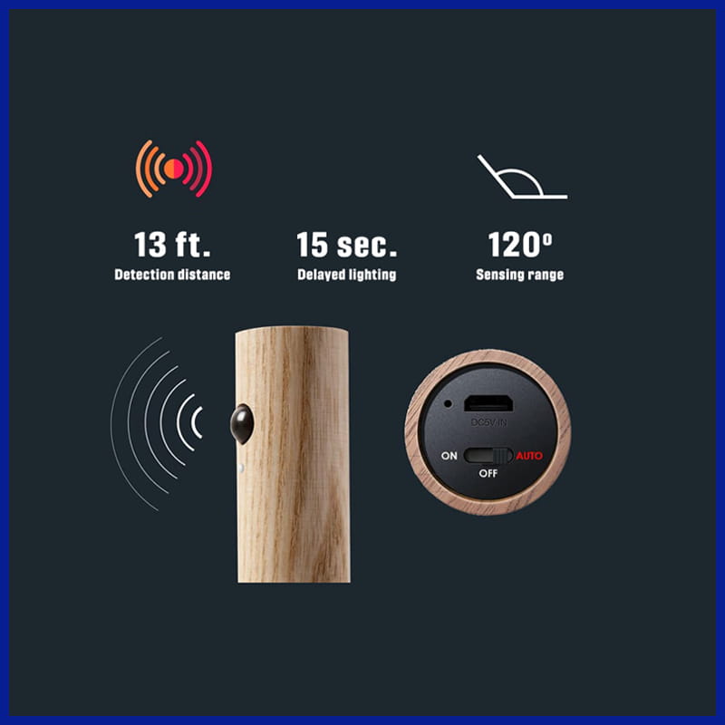 Motion sensor plugs and switches